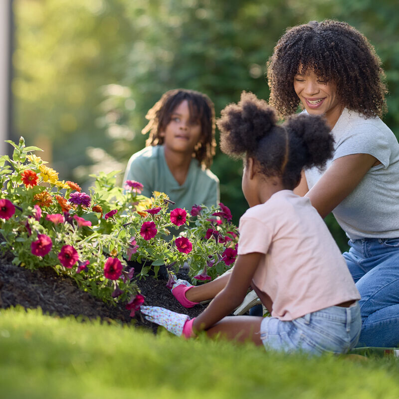 Earthgro® by Scotts® Black Mulch image number null